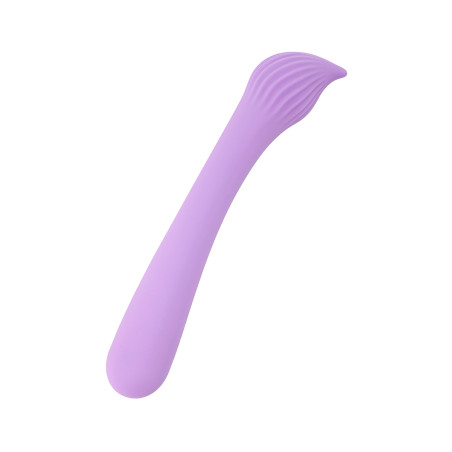 Vibro rechargeable Passionmania violet - FairyGasm