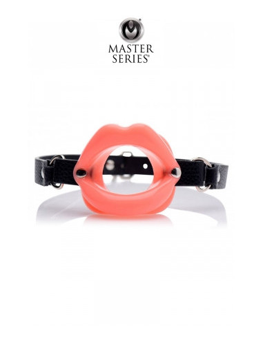 Sissy Mouth Gag - Master Series
