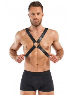 Harnais de bondage Lionel Bedroom Fantasies 2