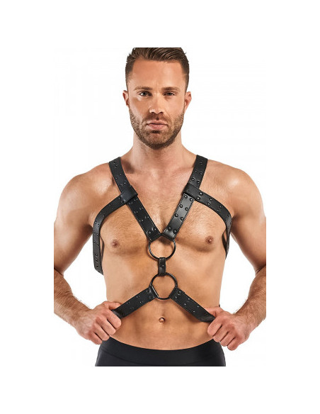Harnais de bondage Rocco - Bedroom Fantasies