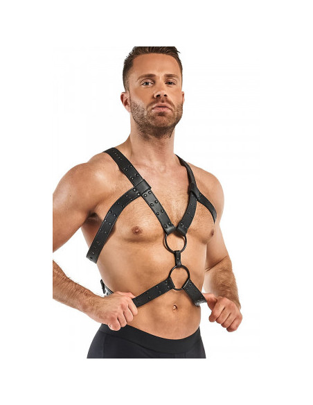 Harnais de bondage Rocco - Bedroom Fantasies