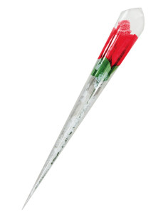 Rose surprise avec petite culotte - Fun Novelties 2