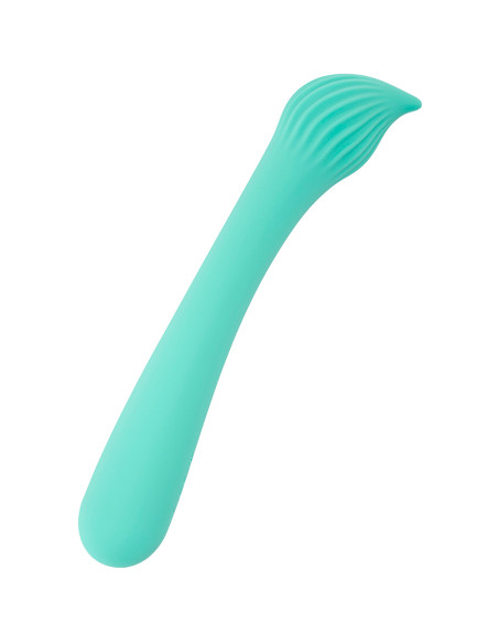 Vibro rechargeable Passionmania vert - FairyGasm