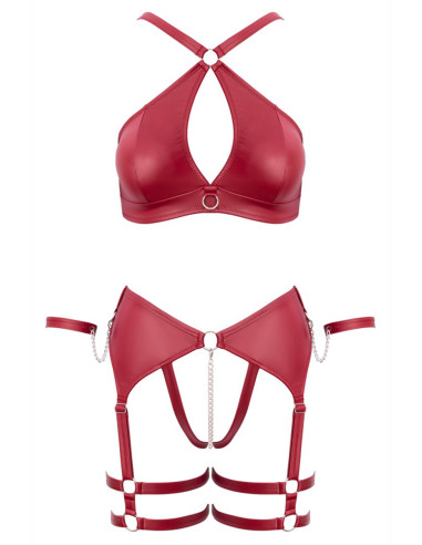 Ensemble BDSM bordeaux - Cotelli Bondage